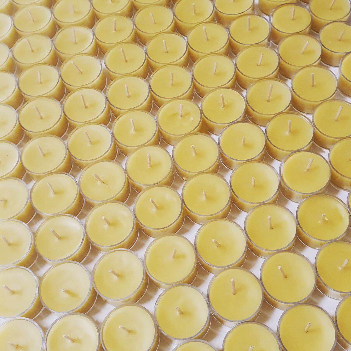 Shop Wholesale Candles Australia Prilep Candles